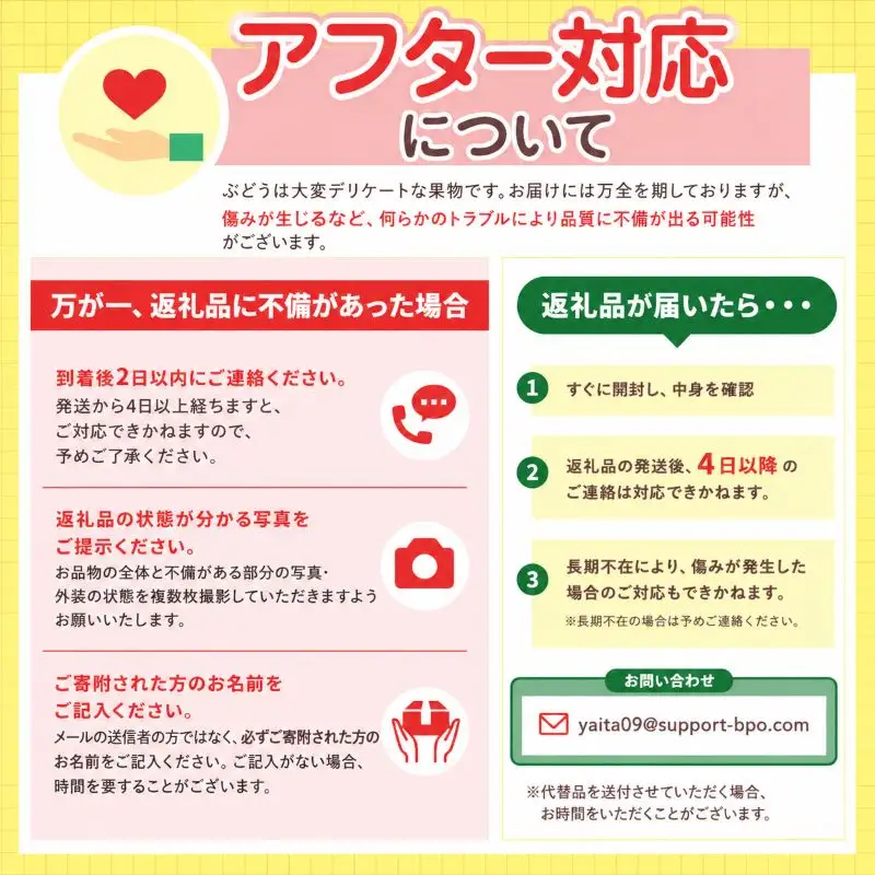 ぶどう 根本さんの種ありこだわり巨峰　約1kg | 完熟 葡萄 甘い 大粒 フルーツ 産地直送 栃木県 矢板市