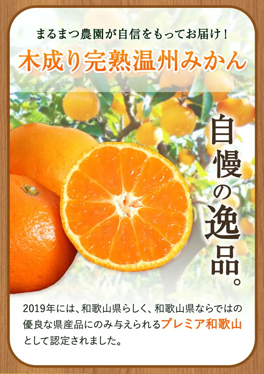 訳あり 木成り完熟温州 みかん 約 5kg ミックスサイズ 和歌山県産