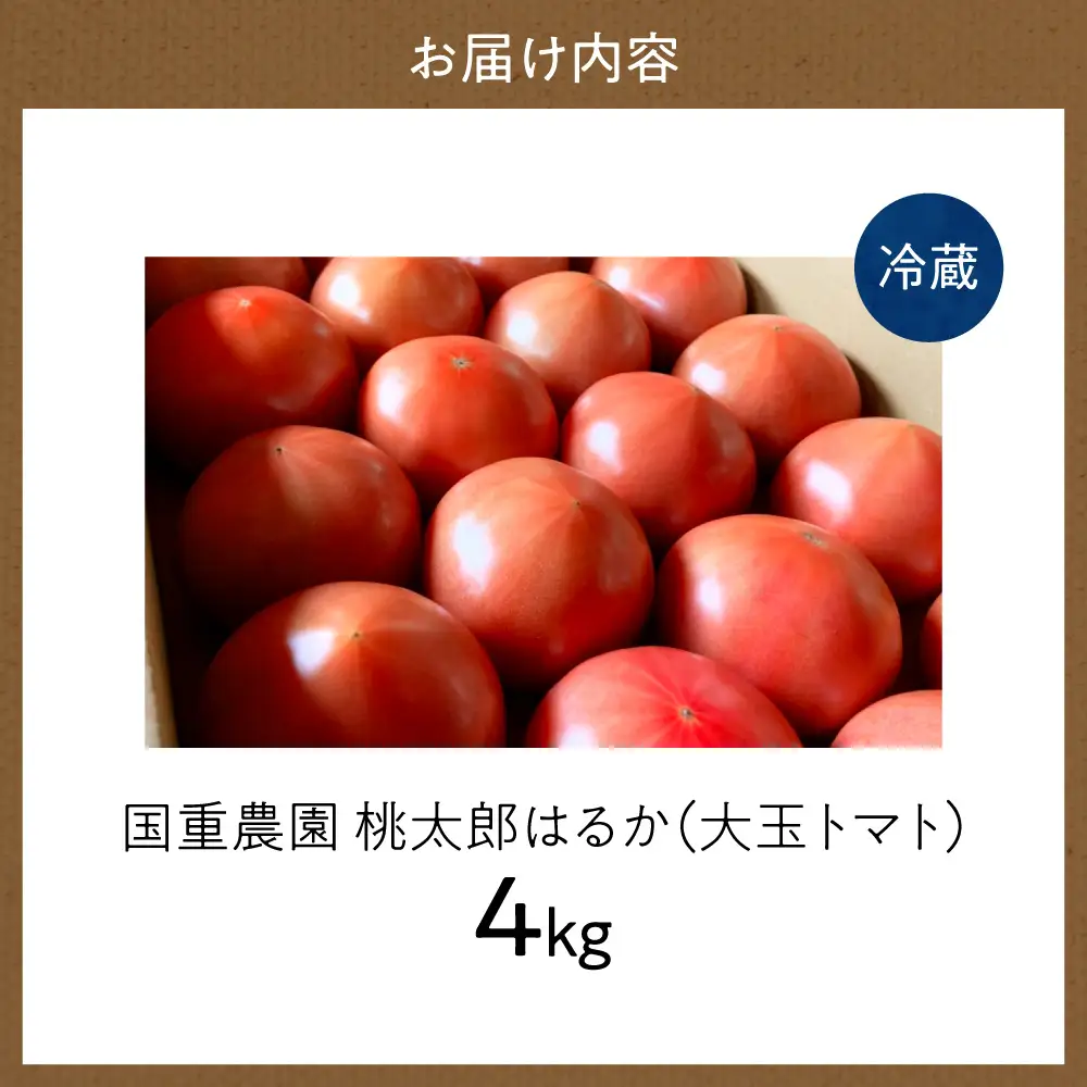 【先行予約：2026年9月上旬以降発送】トマト農家が本気で作る「秋トマト」4Kg 桃太郎はるか 北海道余市町 低段栽培 大玉トマト_Y165-0003