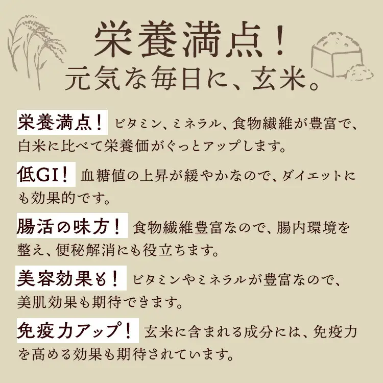 【11月発送】令和8年産新米 とちぎの星玄米30kg｜ 米 お米 国産 栃木県 塩谷町 ※2026年11月～発送