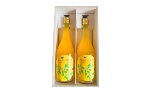 【数量限定】 温州みかん100%ジュース （ 720ml 2本セット ） みかん ミカン 柑橘類 柑橘系 柑橘 くだもの 果物 フルーツ 果実 果汁 果肉 甘み 国産 佐賀県産 ジュース ミカンジュース みかんジュース 果汁100％ 温州みかん 温州 【2026年4月上旬～10月上旬発送予定】