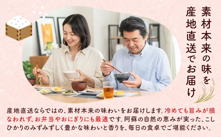 【先行予約】米 令和8年産 阿蘇こしひかり 10kg (5kg×2袋) ますだふぁーむ《9月末-10月末頃出荷》熊本県 南阿蘇村 米 お米 白米 精米 国産米 こしひかり コシヒカリ 産地直送