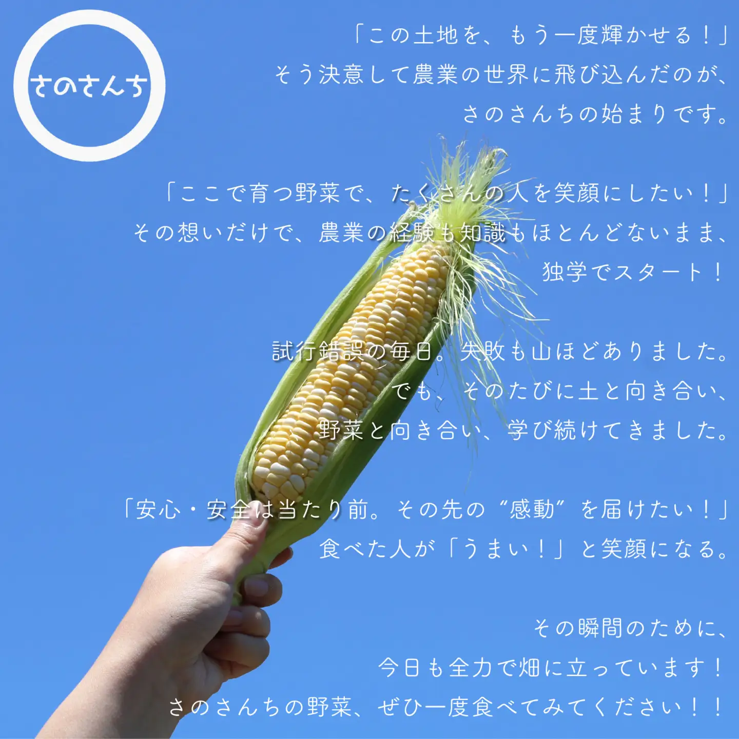 オクラ 500g オクラ