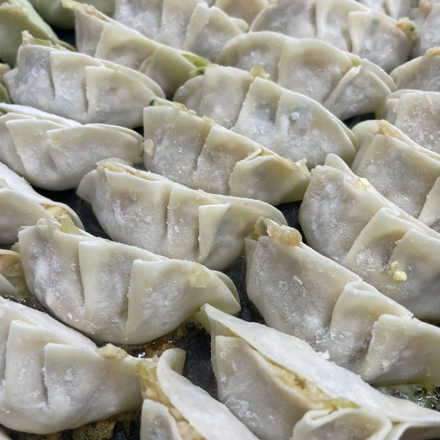 野菜たっぷり手作り餃子 50個 国産 ぎょうざ おかず 岐阜市 / ながらぱいたん珀[ANHY001]