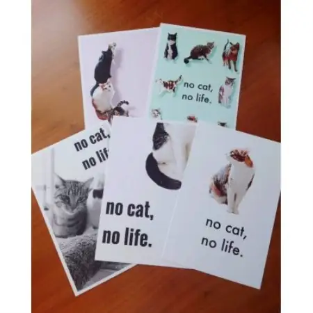 保護猫へのご支援のためのお礼品【保護猫ルームえびす】ストラップ付猫型ファスナーポーチ(色柄アソート)【1719562】
