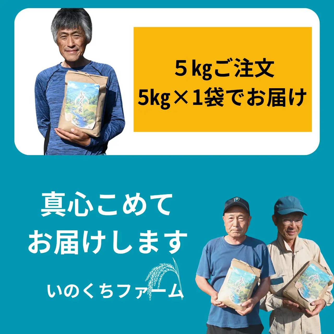 米 コシヒカリ 精米 5kg 令和8年産 先行予約 [A-103001]