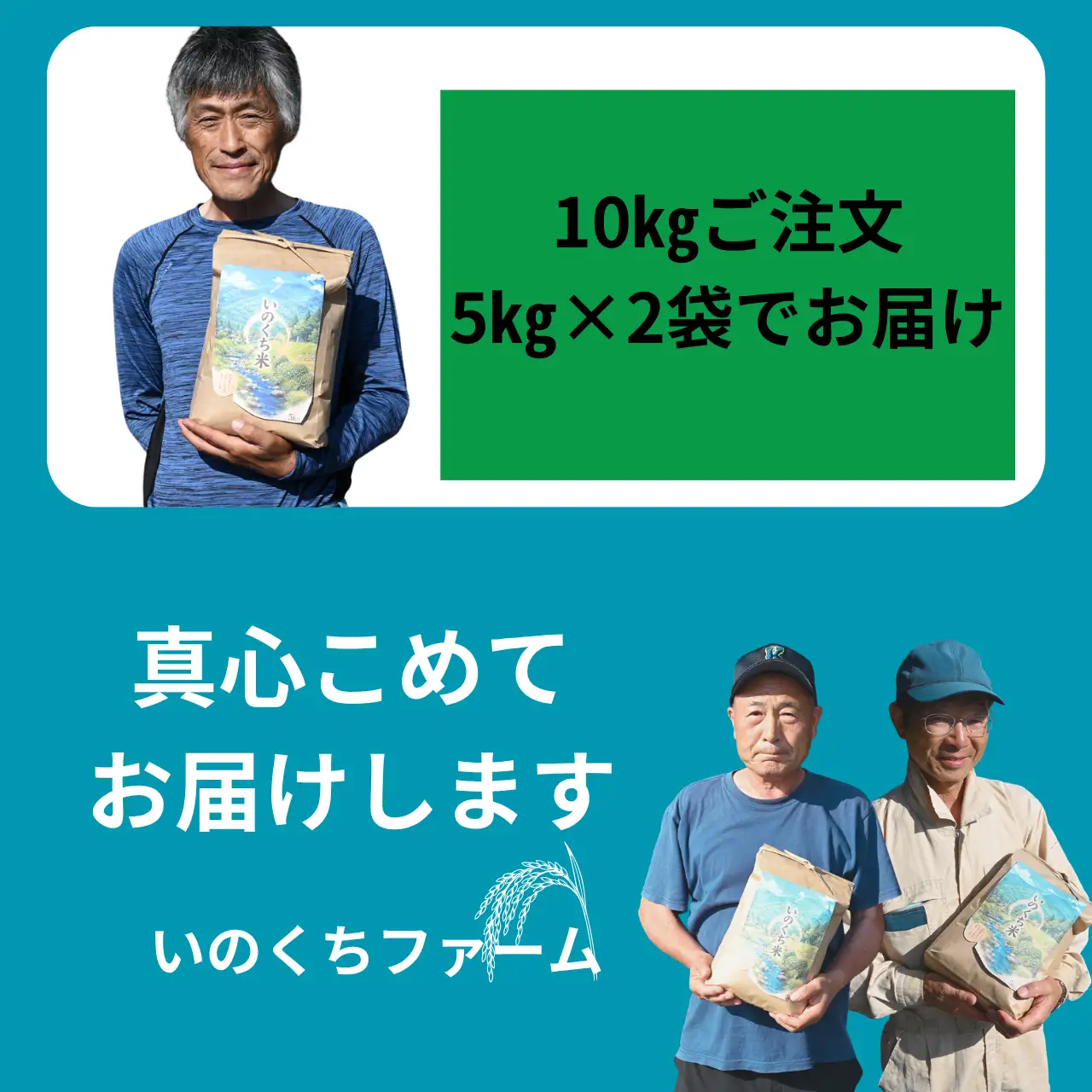 米 コシヒカリ 精米 10kg 令和8年産 先行予約 [B-103001]