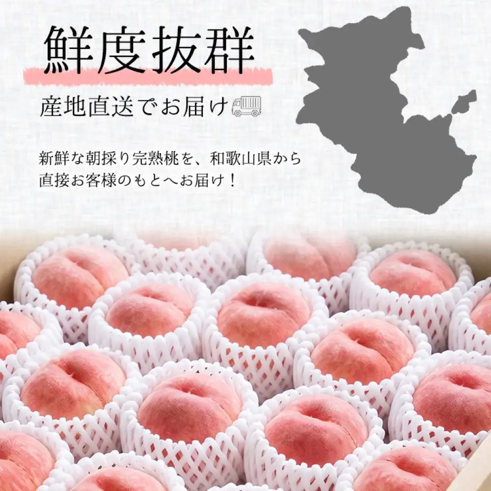 訳あり 森本農園の手選別 桃 2kg