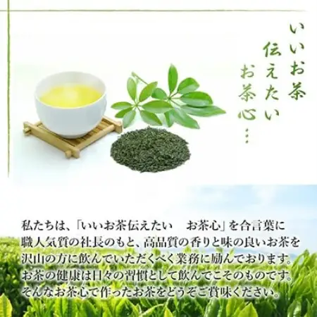 【のし付き・お中元】知覧茶有機栽培茶 90g 計5本セット【1754437】
