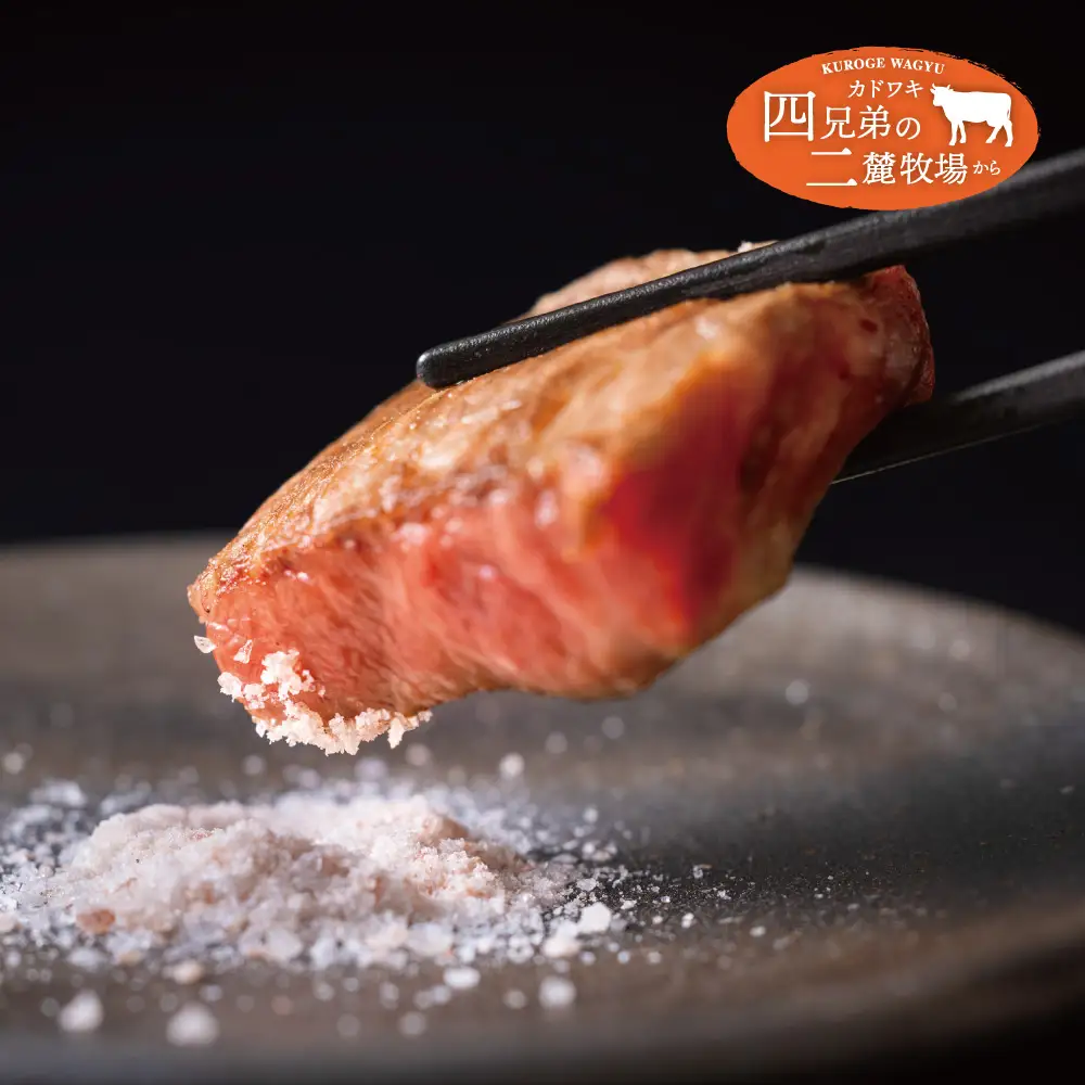 A4･A5「二麓（にろく）霜降り」黒毛和牛（大判）ひとくちステーキ 500g（250g×2） ニセコ連峰と鈴鹿山脈、二つの麓（ふもと）で育てた脂の質にこだわった美味しい霜降りをリーズナブルに│牛肉 国産牛 ブランド牛 冷凍便 年末年始 お正月 焼肉 BBQ 三重県 四日市市 ふるさと納税