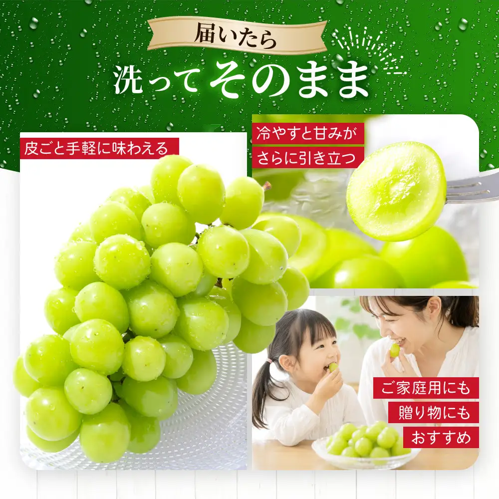 《先行予約 2026年8月下旬～9月発送》【勧修寺観光農園】不揃い訳あり 京都市産 シャインマスカット 2kg｜シャインマスカット 人気