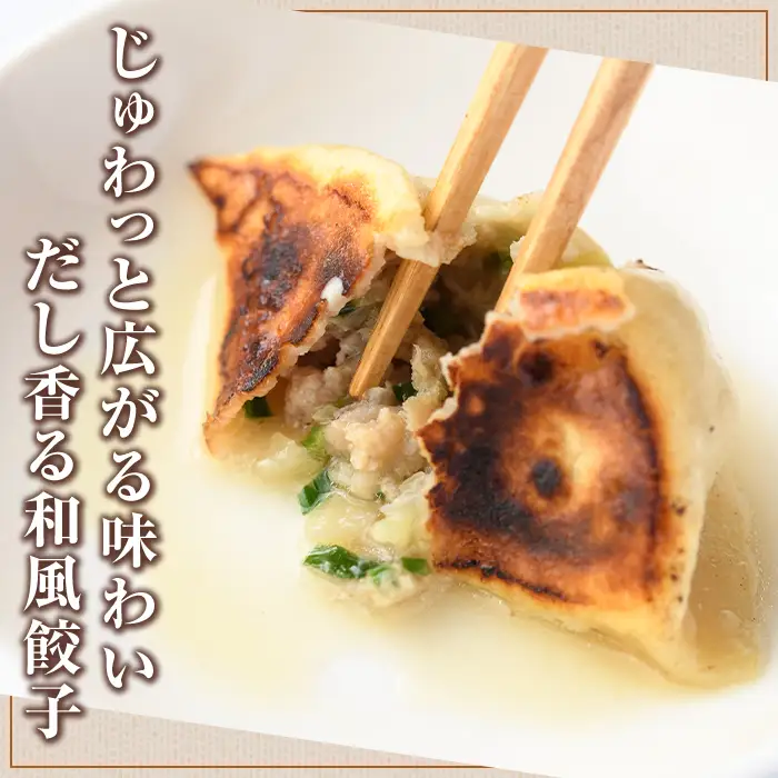 大葉餃子(12個入×4袋・計48個) 餃子 生餃子 ギョウザ ぎょうざ ギョーザ セット 詰め合わせ おかず お惣菜 冷凍 和風 水餃子 大葉 手作り 【餃子のはま田】akn096-02