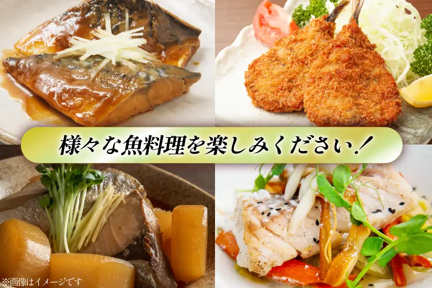 魚 地魚 詰め合わせ 3～5尾
