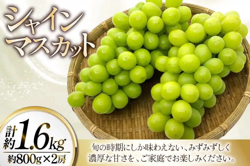 シャインマスカット 大粒 種なし 約800g 2p 計1.6kg