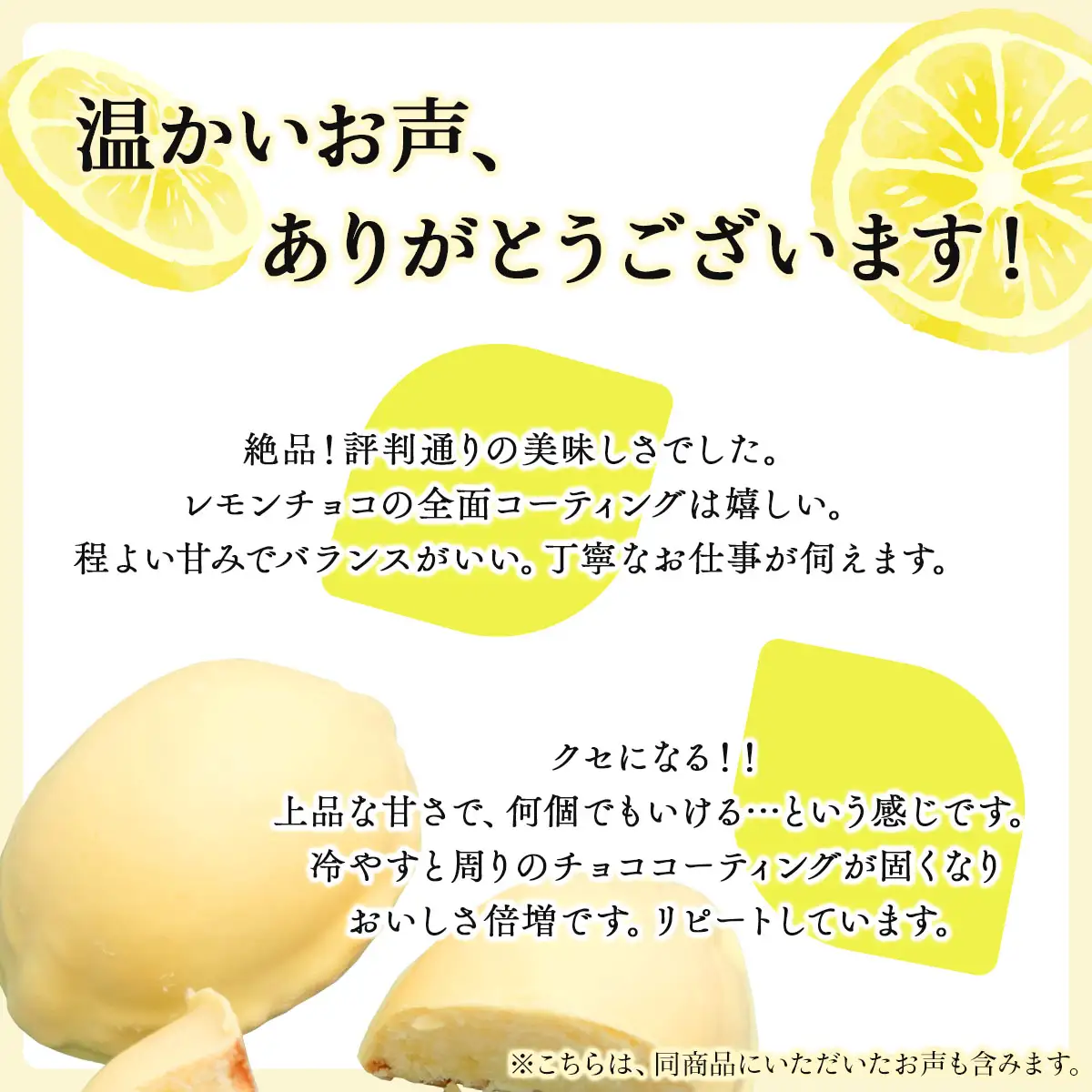 北海道遠別町　レモンケーキ（10個入り）　焼き菓子　洋菓子　スイーツ　贈り物　北海道　お土産　レモン　ケーキ　檸檬　ギフト　国産　北海道産　お菓子　ギフト　贈答品　　冷蔵　個包装　お取り寄せ
