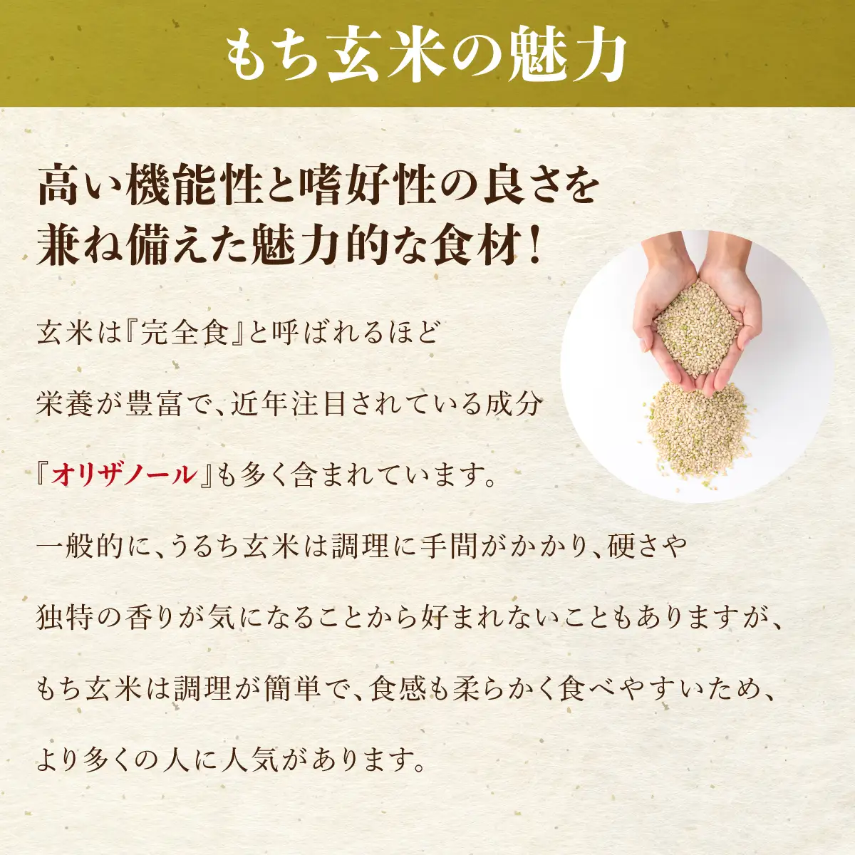 【日本最北のもち米生産地からお届け】風の子もち（もち米）900g＋もち玄米900g　計1.8kgセット【令和７年産新米】