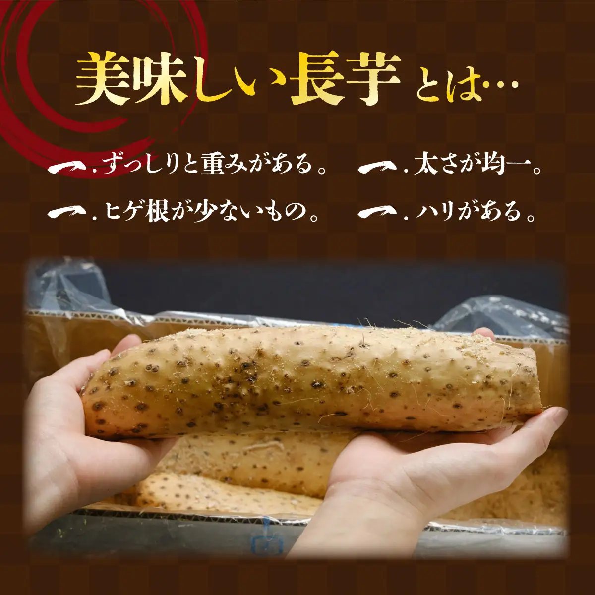【2026年12月上旬より発送】遠別産　吉兆長芋（AB品混合　約3kg）