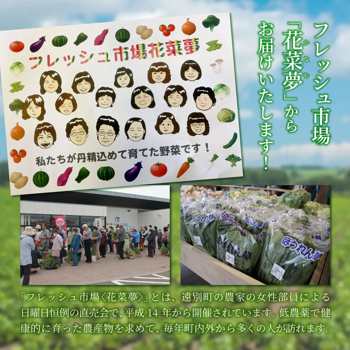 新鮮野菜オリジナル詰め合わせセット【フレッシュ市場・花菜夢】