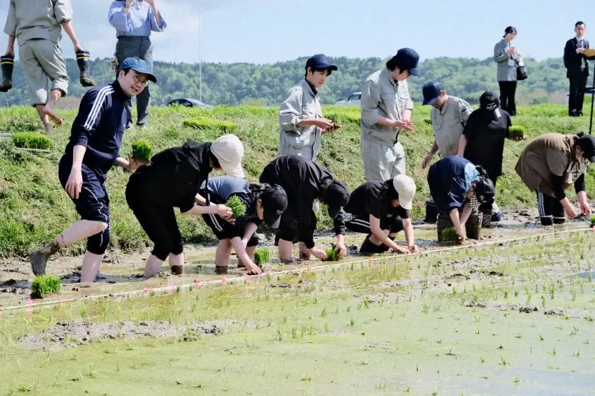 【遠別農業高校】R8年度授業収穫品「遠農物語」もち米2kg　風の子もち