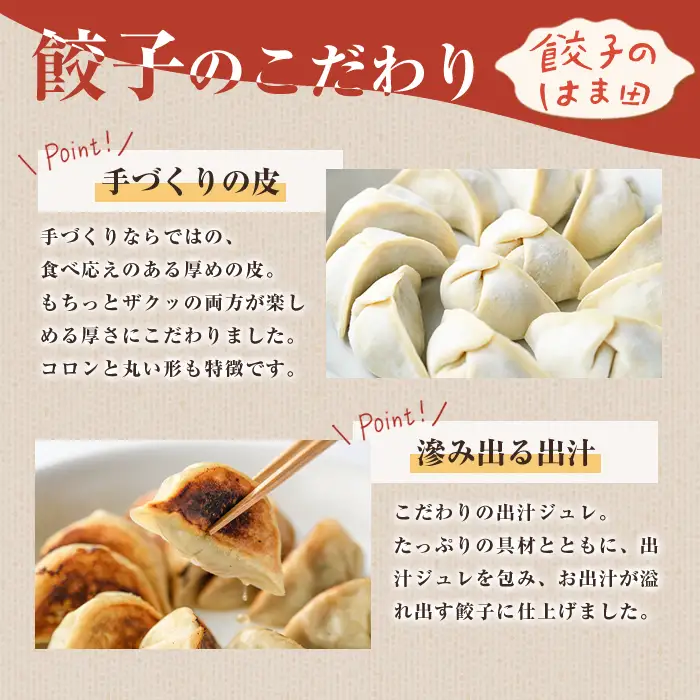 手づくり和餃子セット(ニラ餃子12個入×4袋+大葉餃子12個入×4袋・合計96個) 餃子 生餃子 ギョウザ ぎょうざ ギョーザ セット 詰め合わせ おかず お惣菜 冷凍 和風 水餃子 にら ニラ 大葉 手作り 食べ比べ 【餃子のはま田】akn096-04