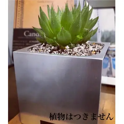 アルミ削りだし植物鉢001 | 植木鉢 おしゃれ ガーデニング 庭仕事