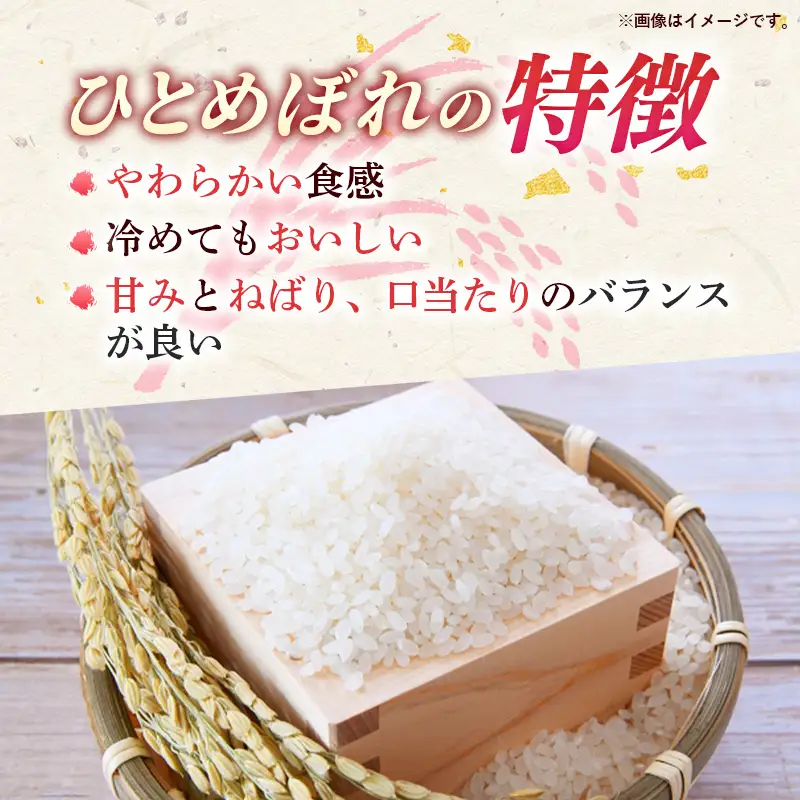 新米 先行受付 令和8年産 『こしひかり』『ひとめぼれ』 10kg (各5kg×1袋ずつ) 米 お米 白米 コメ こめ 食べ比べセット コシヒカリ ひとめぼれ 先行予約 2026年 人気 家計応援 単一米 茨城県 五霞町