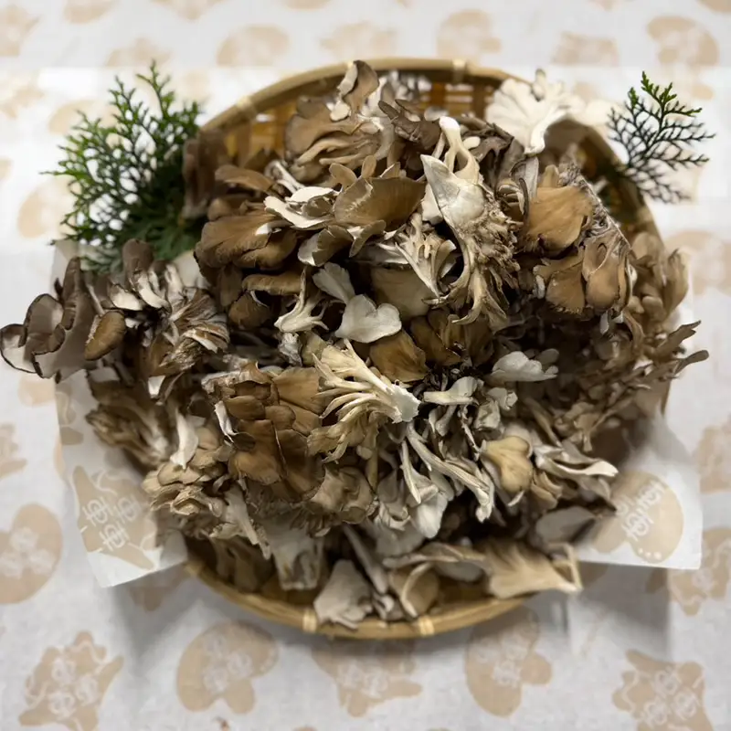 規格サイズにこだわらない轟まいたけ ほぐし 1kg きのこ キノコ 野菜 食品 F21E-531
