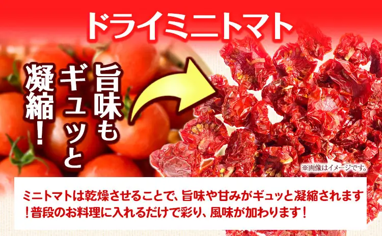 ドライミニトマト セット 60g トマト ミニトマト 野菜 GTOファーム 熊本県 南阿蘇村《7月上旬-10月末頃出荷》