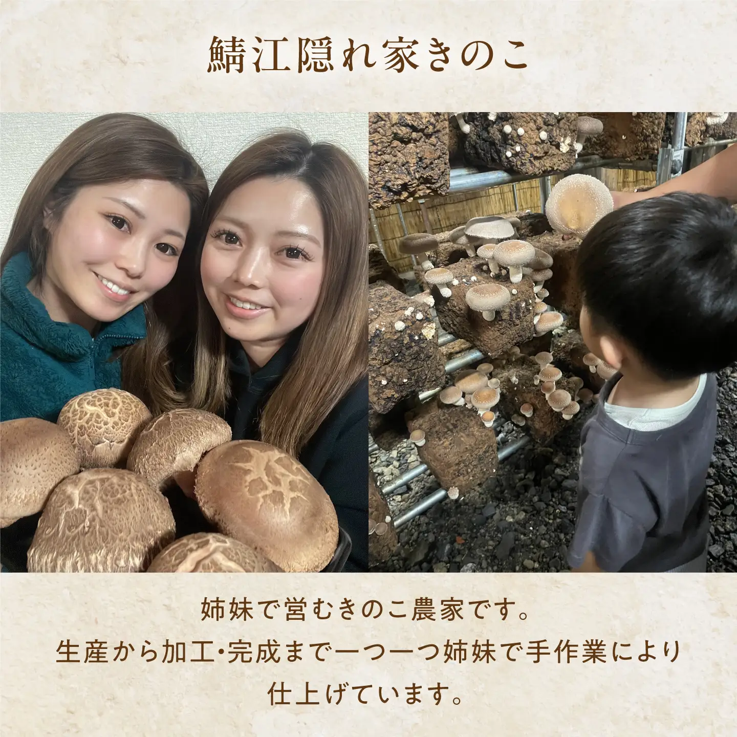 鯖江隠れ家きのこの乾燥きのこ３種セット　野菜 食事