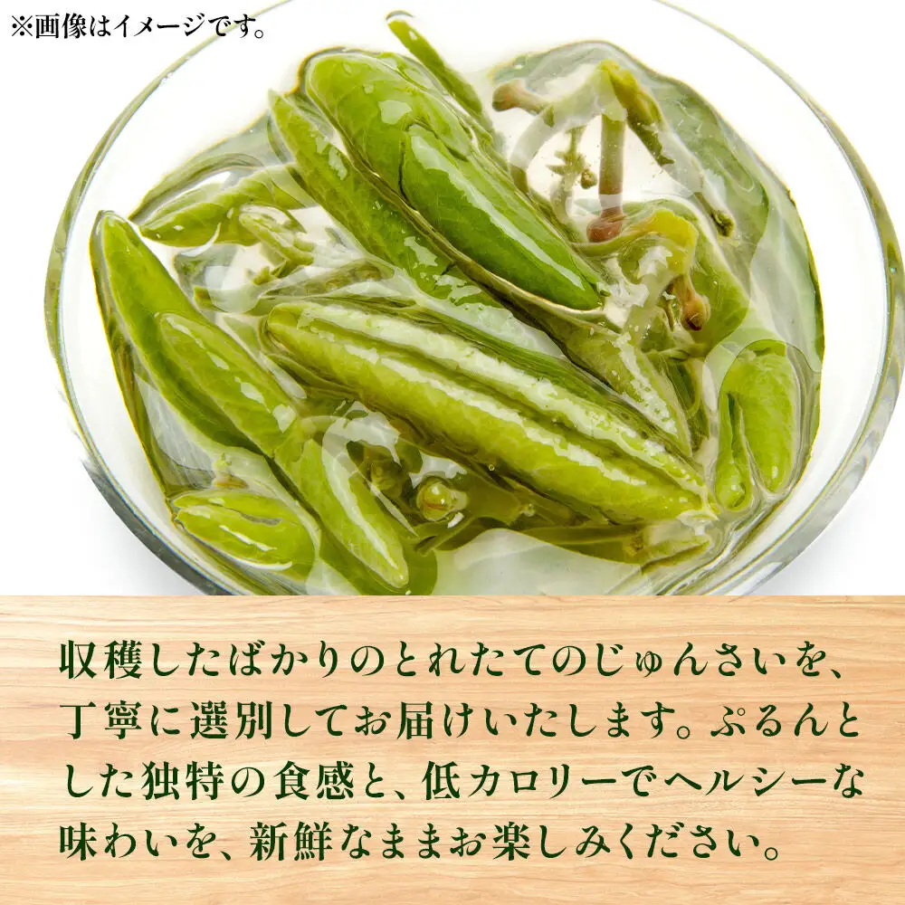 じゅんさい 500g 秋田県山本郡三種町産