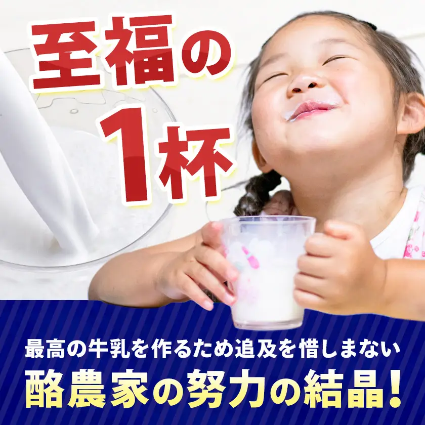 【6ヶ月定期便】ロングライフ 常温保存可能 北海道 3.6 牛乳 1000ml × 12本 日高乳業《お申込み翌月から出荷》