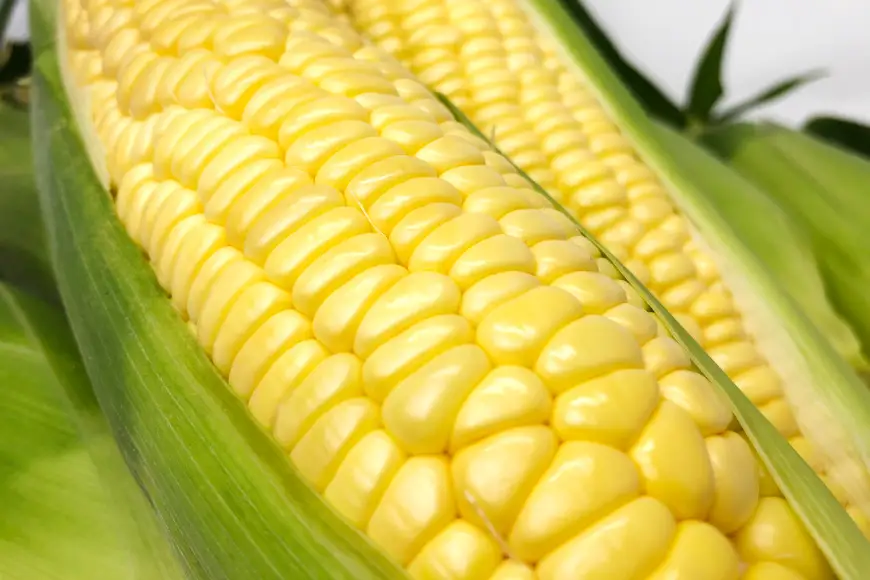 野菜 定期便 4回 【剣淵町産】 けんぶち定期便