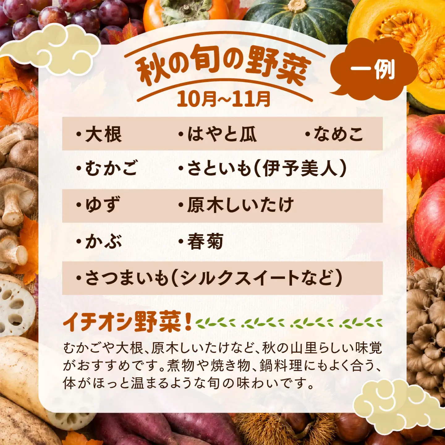 久万高原 天空の旬野菜便2kg 【面河特産品開発センター厳選】｜野菜詰め合わせ 5〜6品目 新鮮野菜 定期便 愛媛県産 産地直送