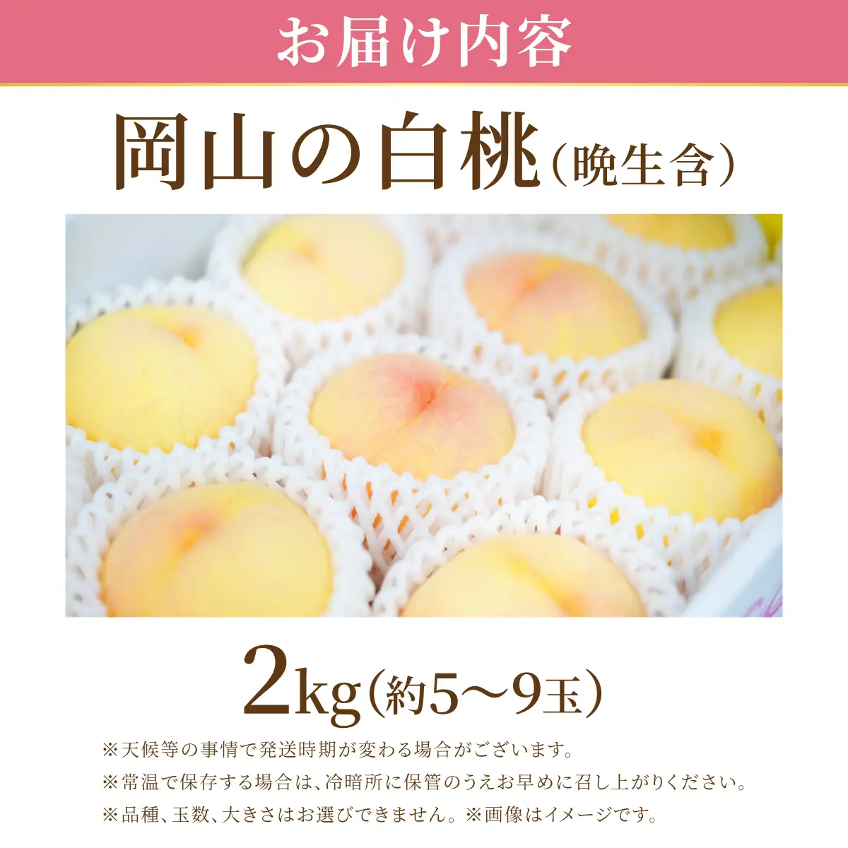 【先行予約】岡山の白桃・晩生　2kg箱　9月上旬から順次発送予定