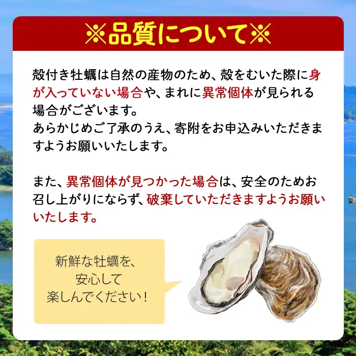 殻付き牡蠣（生食用）冷凍 3kg 生牡蠣 宮城県産 牡蛎 牡蠣 カキ かき 生食 オイスター カキフライ 牡蠣鍋 海鮮 国産 魚貝類 バーベキュー BBQ 【カタクチ商店株式会社】ta735