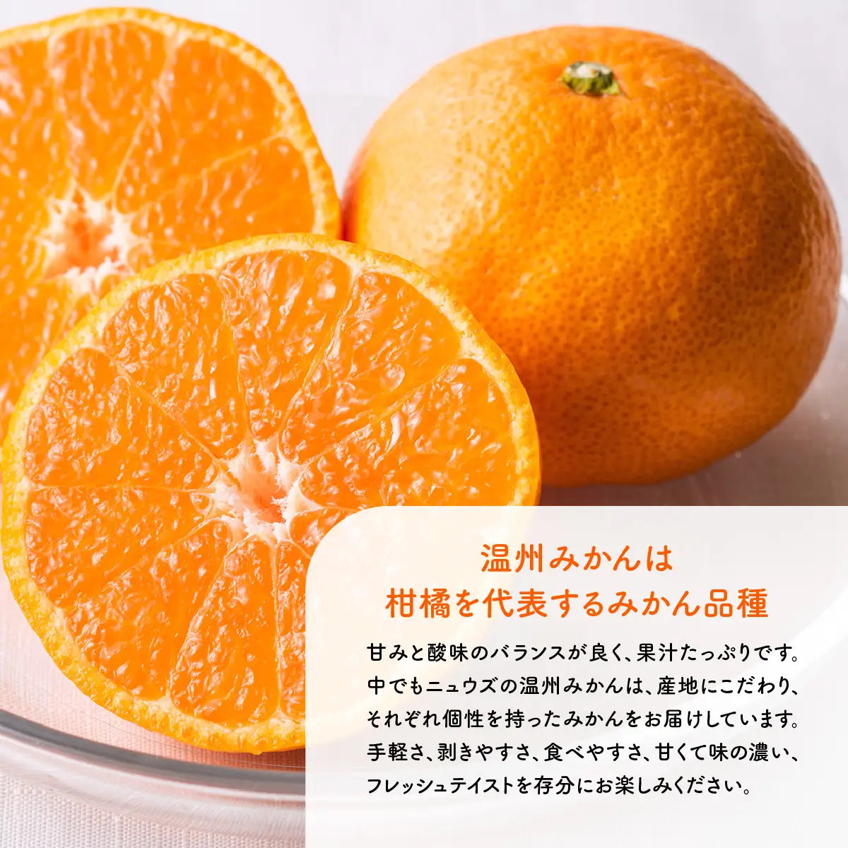 【先行予約】温州みかん 3kg（2026年11月上旬より順次発送）　IKTF032