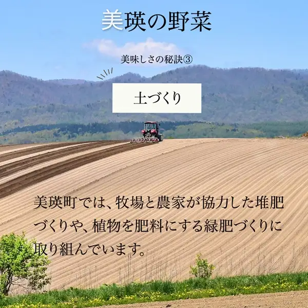 野菜セット 【令和9年産予約受付】 5回 定期便 美瑛の四季 鈴蘭（大） 野菜詰め合わせ