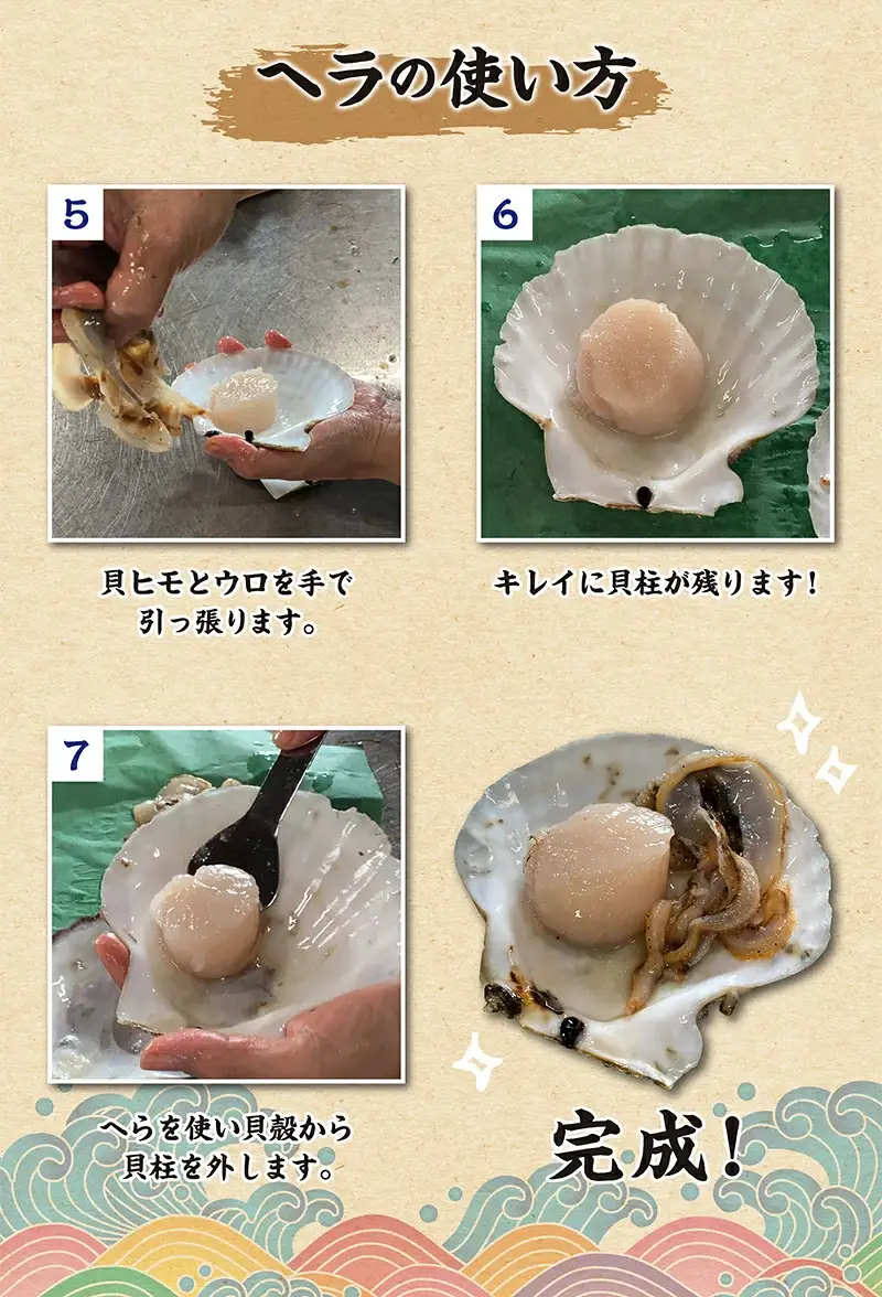 活ほたて 2kg入 1箱 【平内町漁業協同組合】 ホタテ ほたて 帆立 活ホタテ 人気 生ほたて 生ホタテ 刺身 貝 貝柱 殻付き 海鮮 新鮮 ほたて広場 魚介 青森県 平内町 東北 むつ湾 陸奥湾 漁協 BBQ バーベキュー キャンプ おすすめ F21J-385