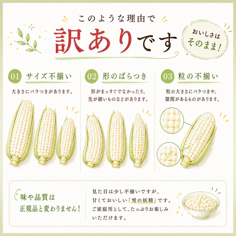 訳あり 白いとうもろこし 約3kg 【とうもろこし】