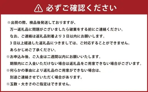 【いちごさん】佐賀県産いちご 約1kg いちご イチゴ 苺 ストロベリー 果物 フルーツ 新鮮 果汁 甘い あまい 佐賀県 太良町 【2027年2月上旬～3月下旬発送予定】 NB46