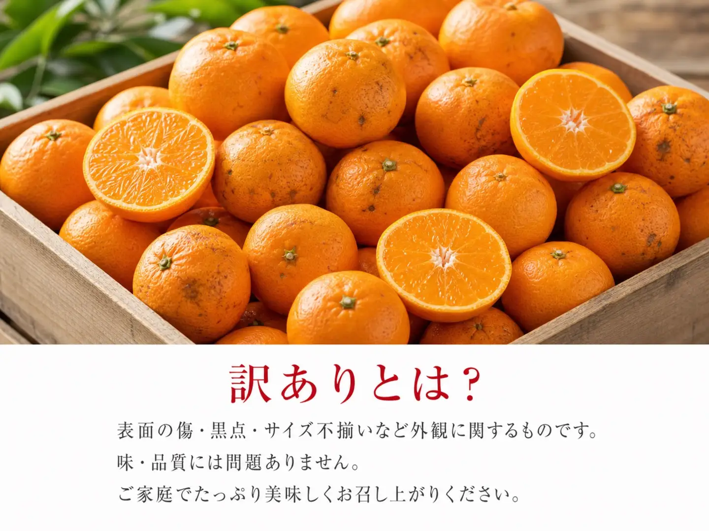 【先行予約】【訳あり・ご家庭用】有田みかん 約10kg（2S～2Lサイズ混合）和歌山県産