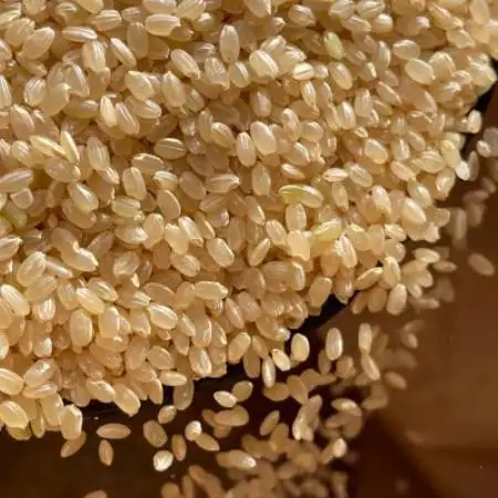 【米粉の玄米麺】(スープ付)2食入×5袋　味噌ラーメン 半生　特別栽培『コシヒカリ』使用【配送不可地域：離島】【1746614】