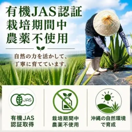 【有機JAS認証】琉球アロエパウチ 葉肉有り 1000ml×6袋【1737069】