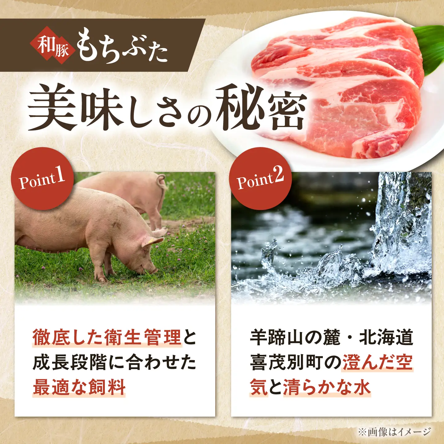 和豚もちぶた 焼肉セット 計500g（250g×2種）[AJAX006] 焼肉 北海道