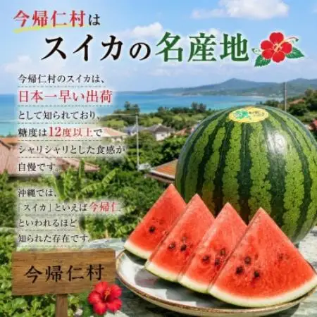 【2027年4月中旬より順次発送】春に食べる幻のスイカ ぬちぐすいーと 1玉(7.0kg以上)【1744601】