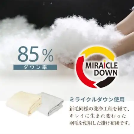 羽毛掛け布団 ダブル 190×210cm 0.3kg リサイクル羽毛 85% アイボリー 無地【1752607】