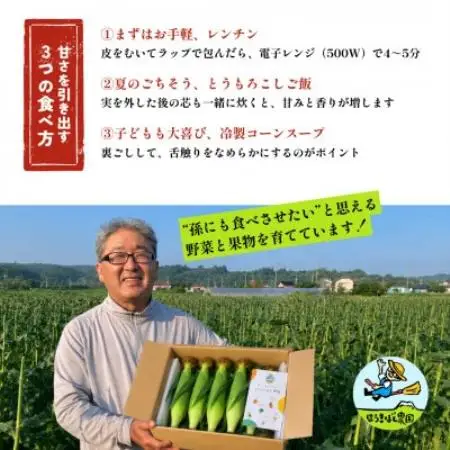 【朝採れ当日発送】大山スイートコーン10本|2L～3Lサイズ(約4kg)|ゴールドラッシュ【配送不可地域：離島・北海道・沖縄県・東北・信越、北陸】【1745547】