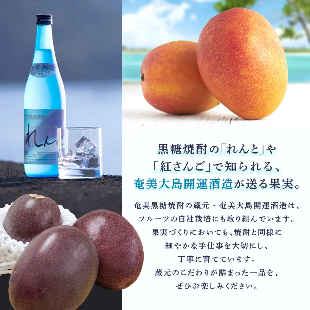 【 期間限定 数量限定 】2026年7月～8月発送 完熟 開運 マンゴー1kg 冷蔵 アップルマンゴー 通常サイズ 特秀品/秀品 混合 奄美 大島 宇検村 鹿児島県 果物 南国 フルーツ デザート 高級 ご褒美 贈り物 ギフト 奄美大島開運酒造