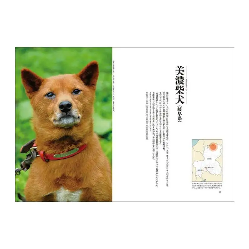 書籍『日本の犬』 武井哲史 山喜多佐知子 誠文堂新光社 東京都 文京区