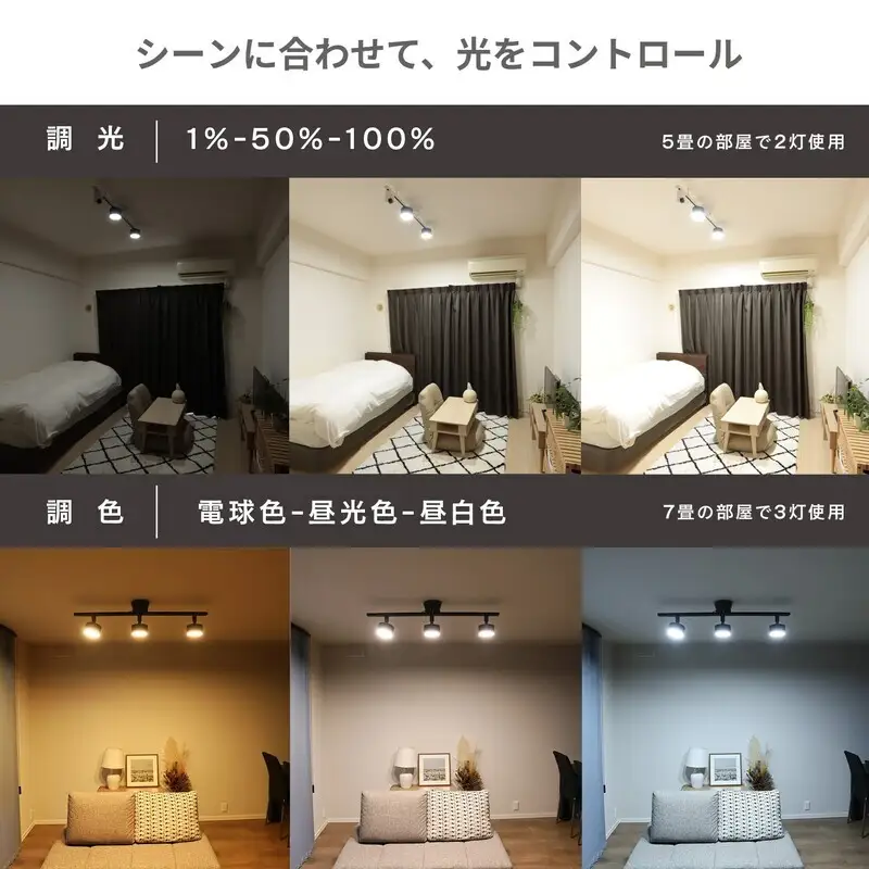 エジソンスマート ミニシーリングライト アーム付き(ダクトレール用) 福岡市【ブラック】
